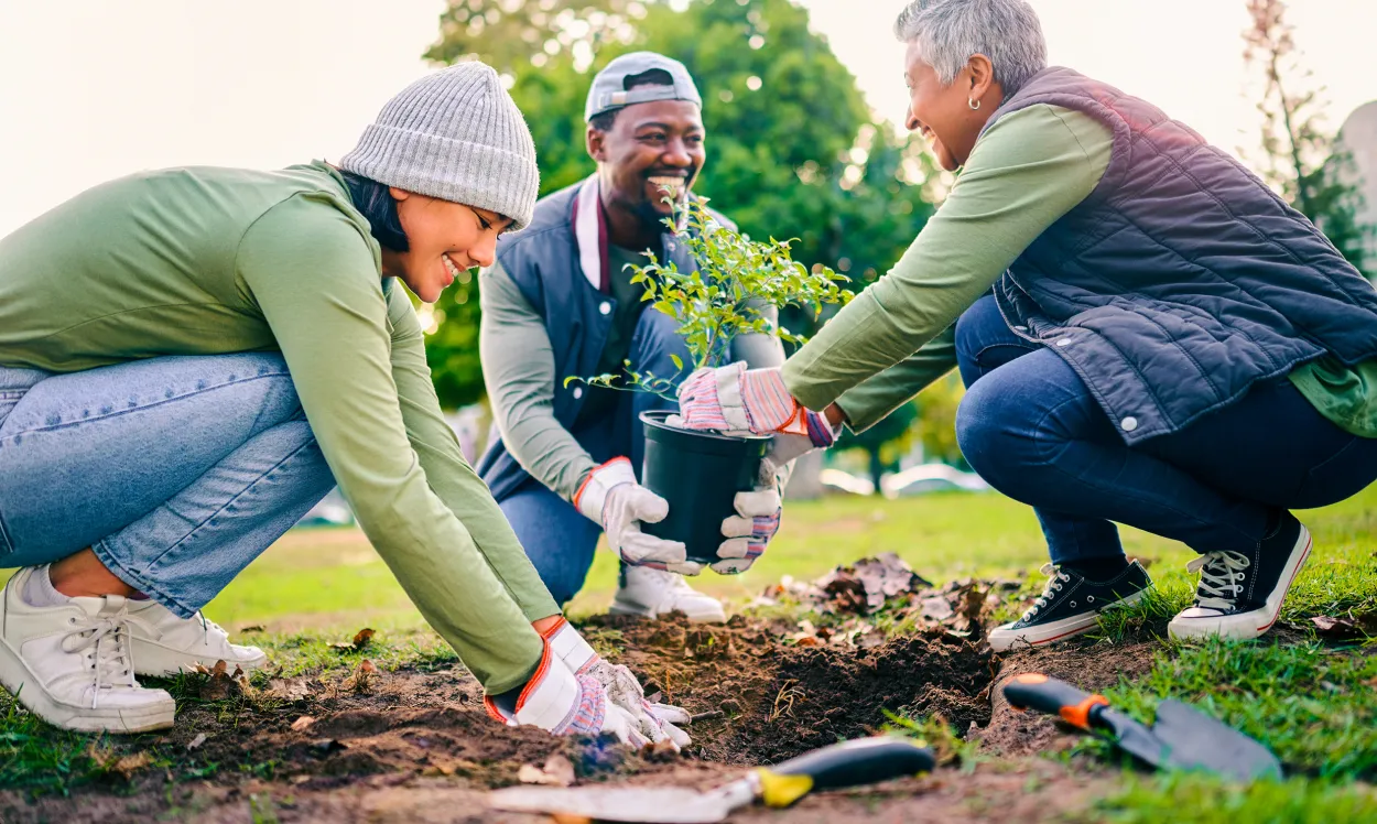 Tree planting, community service and volunteering group in park, garden and nature for sustainable environment. Climate change, soil gardening and earth day project for growth, care and green ecology